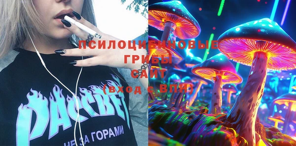 крисы Осташков